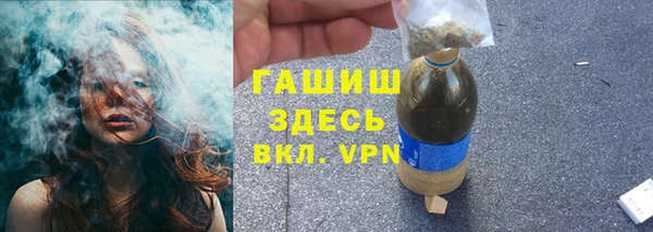 шишки Армянск