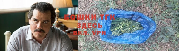 шишки Армянск