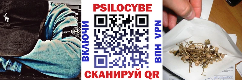 где можно купить   Саяногорск  blacksprut   Галлюциногенные грибы прущие грибы 